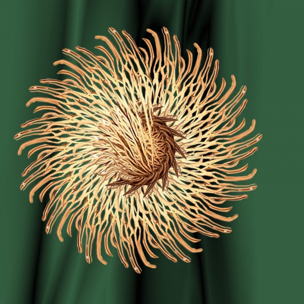 Creation of Chrysanthemums: Step 6