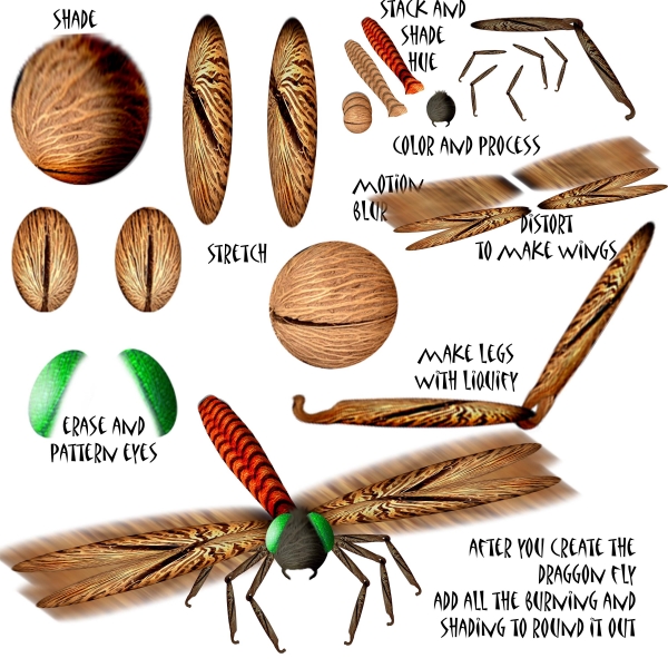 Creation of Dragonfly Landing: Step 1