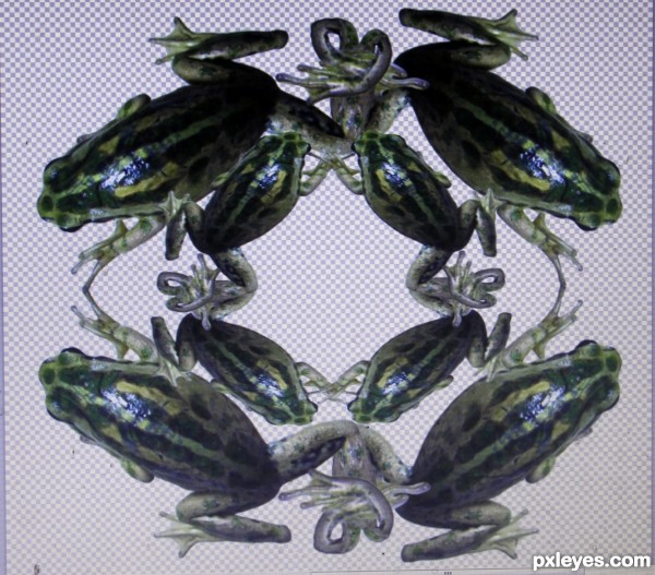 Creation of A Knot of Frogs: Step 4