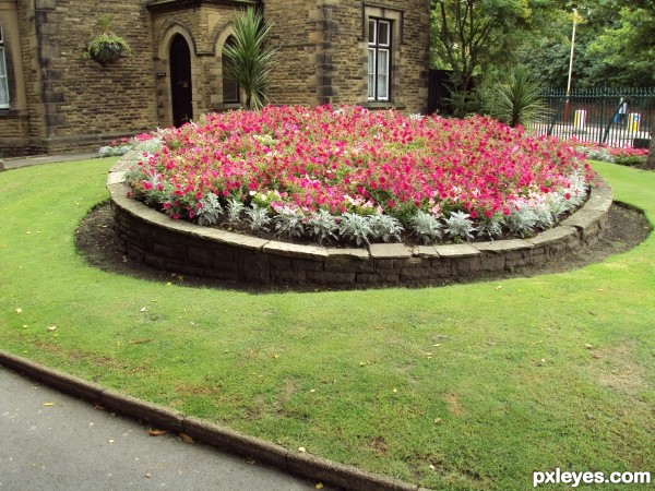 Creation of Bed of Flowers: Step 1