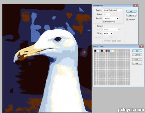 Creation of The Painted Gull: Step 3