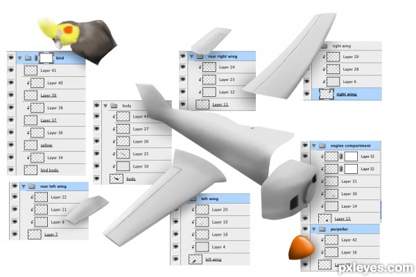 Creation of sleepy bird pilot: Step 4