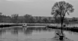 On the River