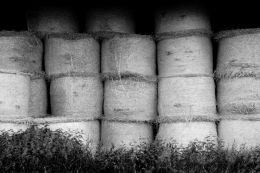 The haystacks