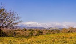 nice view of country side