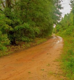 Muddy dirt road in the country side