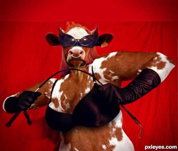 Cow dominatrix - Madam Bovine