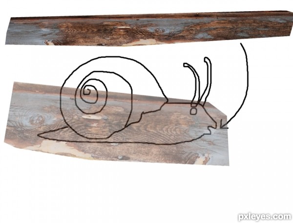 Creation of Mr. Snail Day Out: Step 2