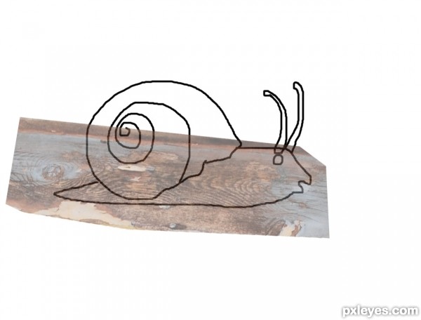 Creation of Mr. Snail Day Out: Step 3