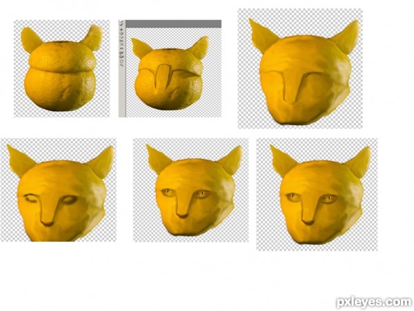 Creation of Lemon Cat: Step 1