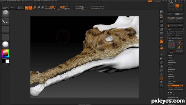 Creation of Crocodilian: Step 10