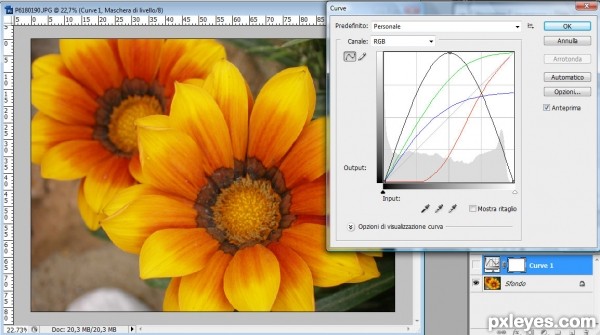 Creation of Psychedelic flowers: Step 1