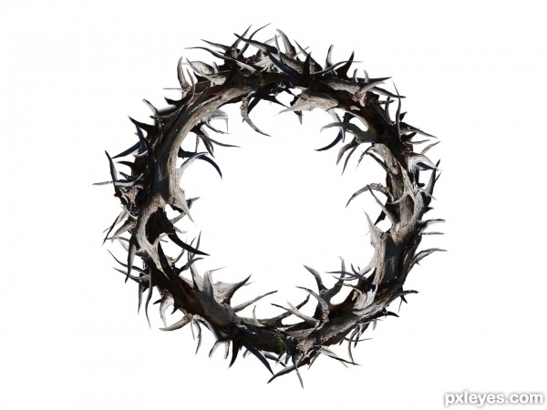 Creation of Crown of Thorns: Step 3