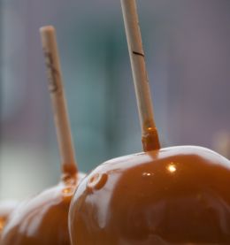 Caramel Apples