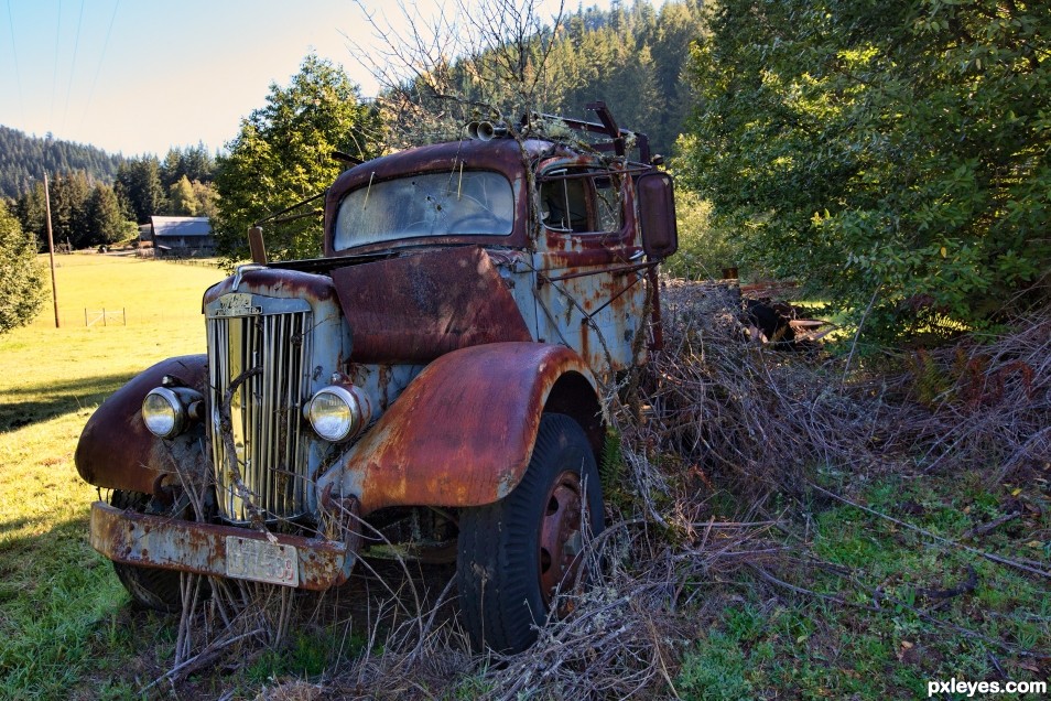 Lost in the Pasture