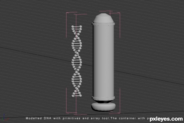 Creation of DNA museum: Step 1