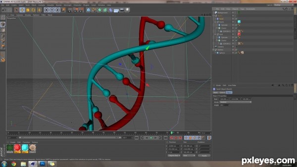 Creation of DNA Macro: Step 3