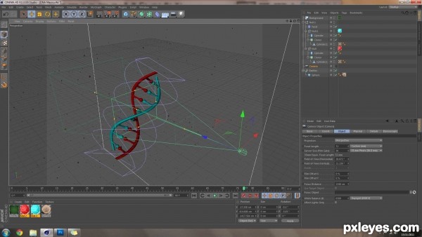 Creation of DNA Macro: Step 5