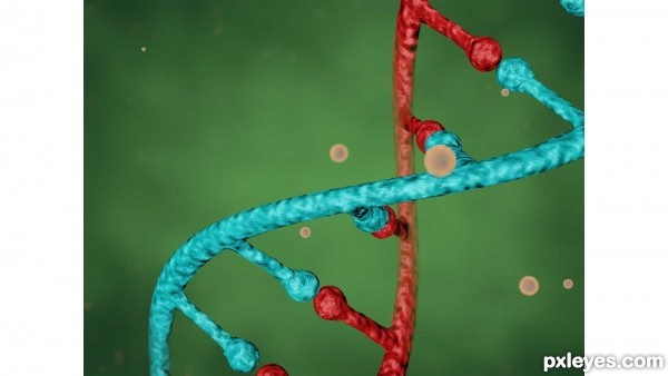 Creation of DNA Macro: Step 6