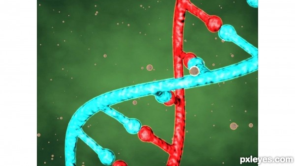 Creation of DNA Macro: Step 7