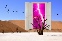 Desert Storm Door