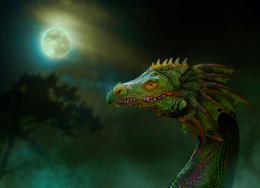 Dragon in the myst