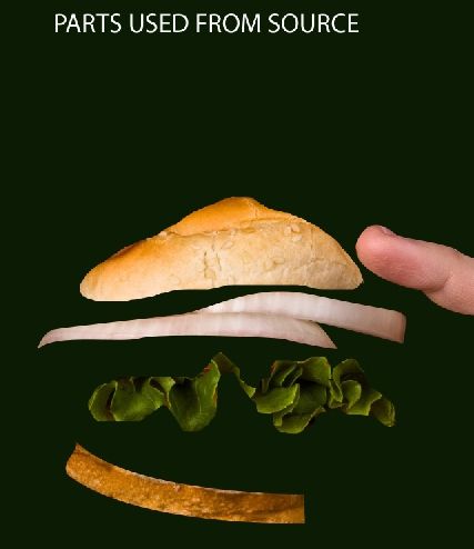 Creation of Burger Creature: Step 1