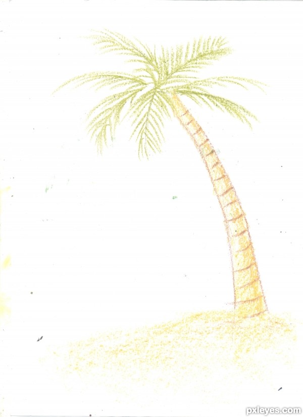 Creation of the palm tree: Step 2