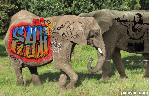 Lets paint some elephants