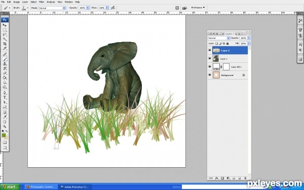 Creation of elephant in garden: Step 1