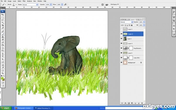 Creation of elephant in garden: Step 2