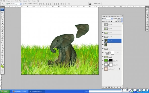 Creation of elephant in garden: Step 3