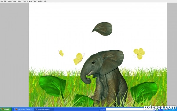 Creation of elephant in garden: Step 5