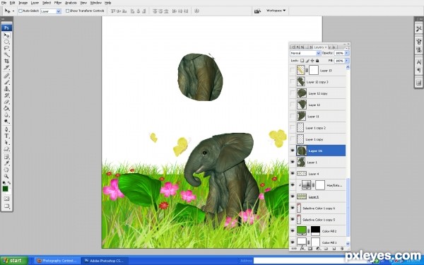 Creation of elephant in garden: Step 8