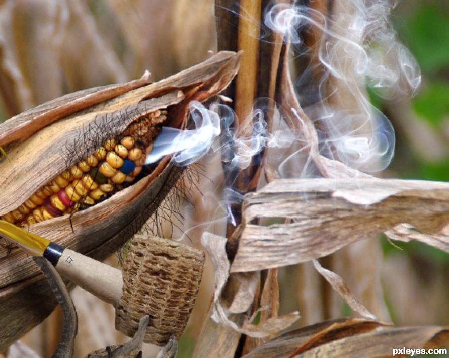 Creation of Smoked Corn: Step 6