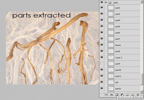 Creation of Roots Horse: Step 1