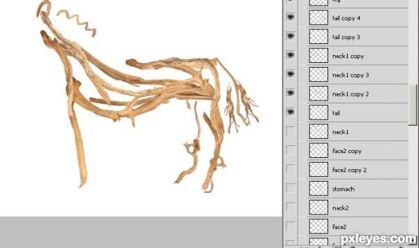 Creation of Roots Horse: Step 4