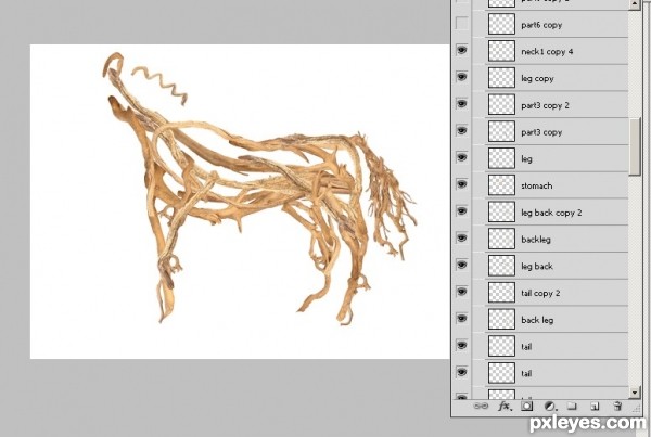 Creation of Roots Horse: Step 5