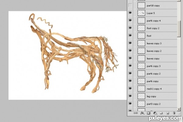 Creation of Roots Horse: Step 6