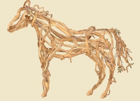 Creation of Roots Horse: Step 8