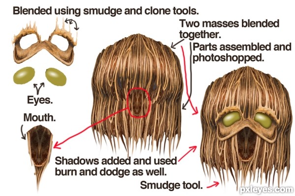 Creation of Swamp Creature: Step 2