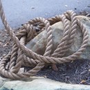 entangled rope source image