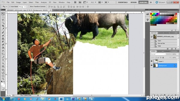 Creation of Alpinism with ... bison: Step 2