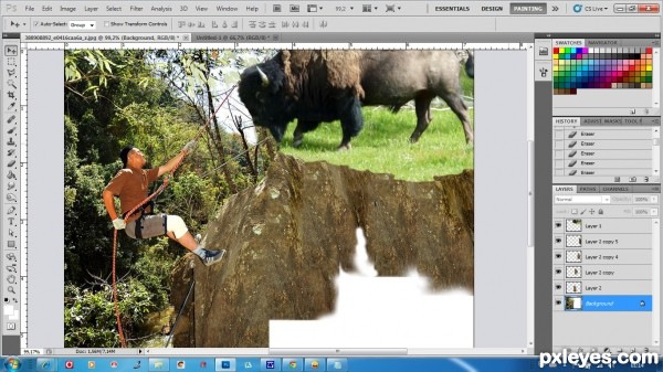 Creation of Alpinism with ... bison: Step 3