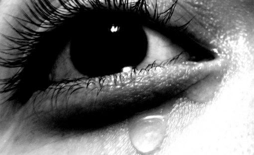 Tearful Photography Contest Pictures - Image Page 1 - Pxleyes.com