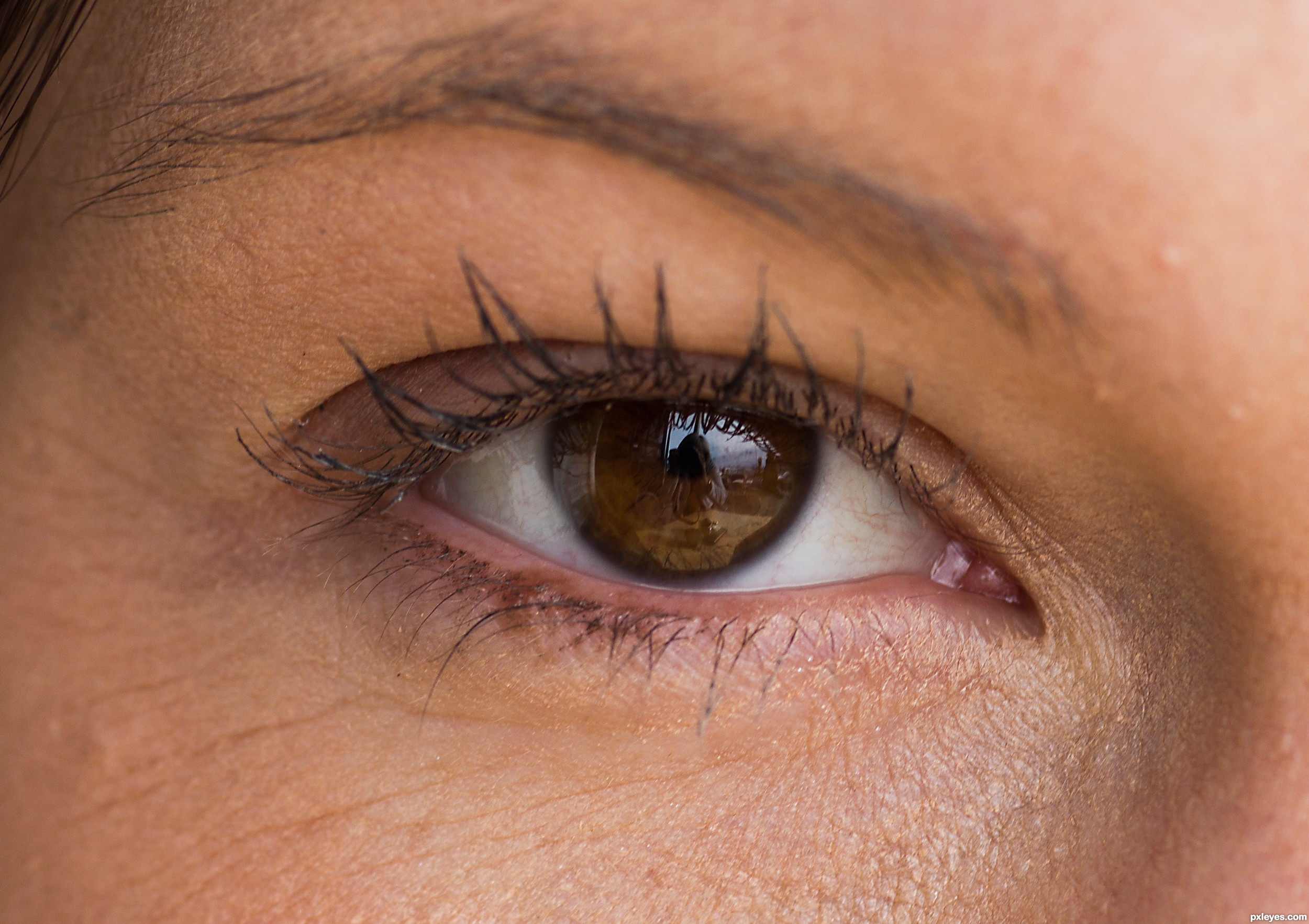 Pretty Brown Eyes Picture By Friiskiwi For Eye Closeup Photography 