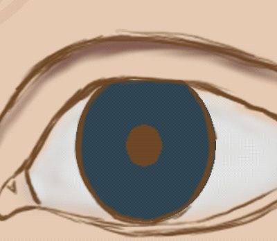 Creation of An Eye: Step 5