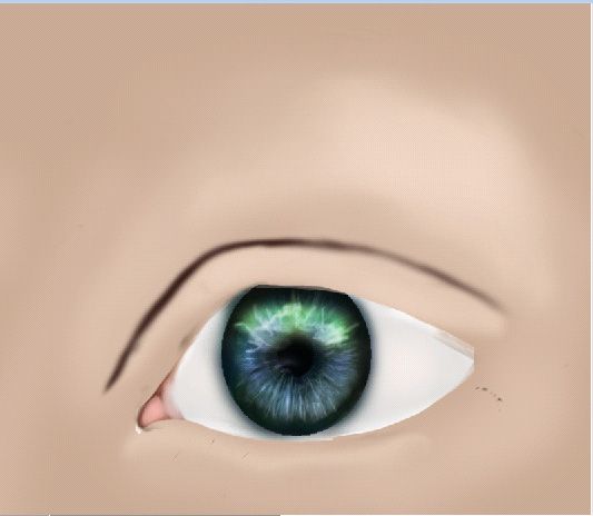 Creation of An Eye: Step 17