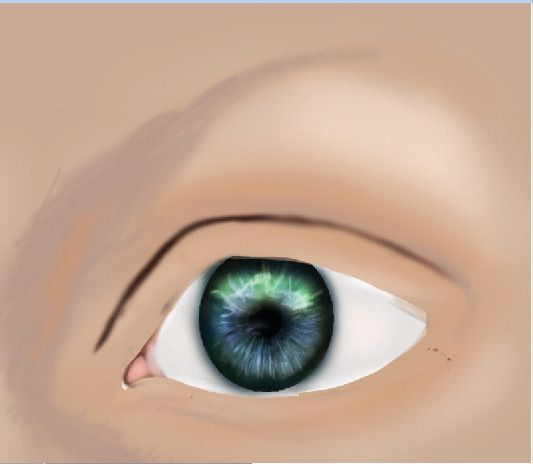 Creation of An Eye: Step 18