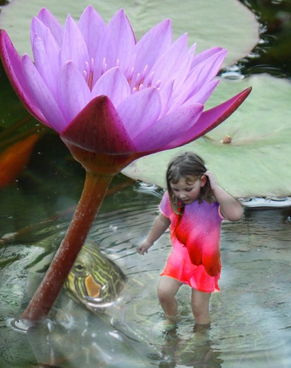 Creation of Fairy in the Lotus Pond: Step 2